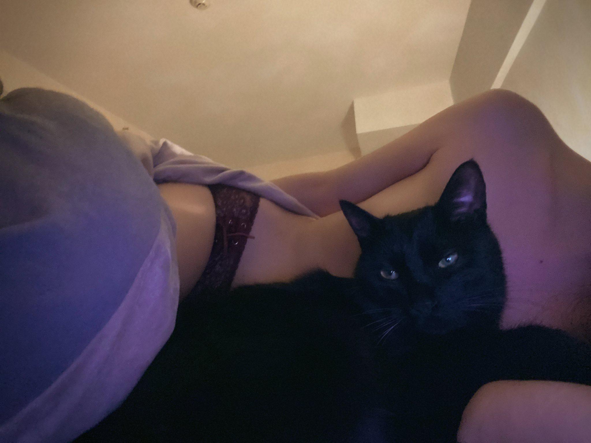 猫头